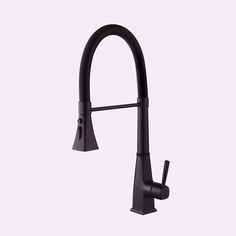 Kitchen Faucet With Pull Down Sprayer