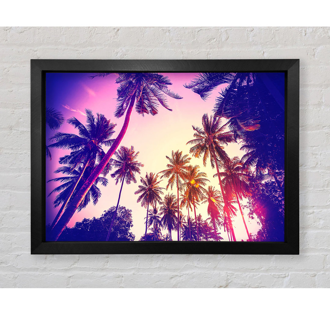 Palm Tree Glow Gerahmter Druck