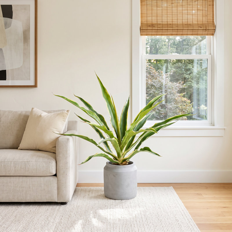 23" Artificial Yucca Plant in Vase
