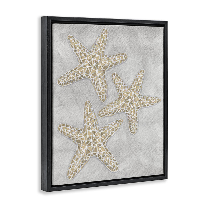 Cadre flottant gris avec étoile de mer, design par Patti Bishop, Cadre flottant noir de jais, H 21 po x l 17 po