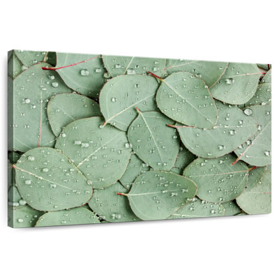 Dewy Eucalyptus Leaf Pile