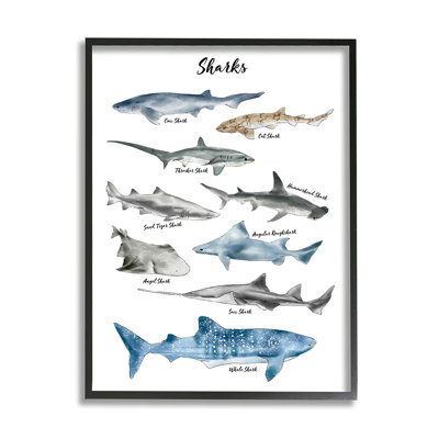 «Nautical Shark», aquarelle, animaux marins par Ziwei Li - impression d'art graphique