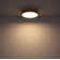 Perdomo Plastic LED Flush Mount