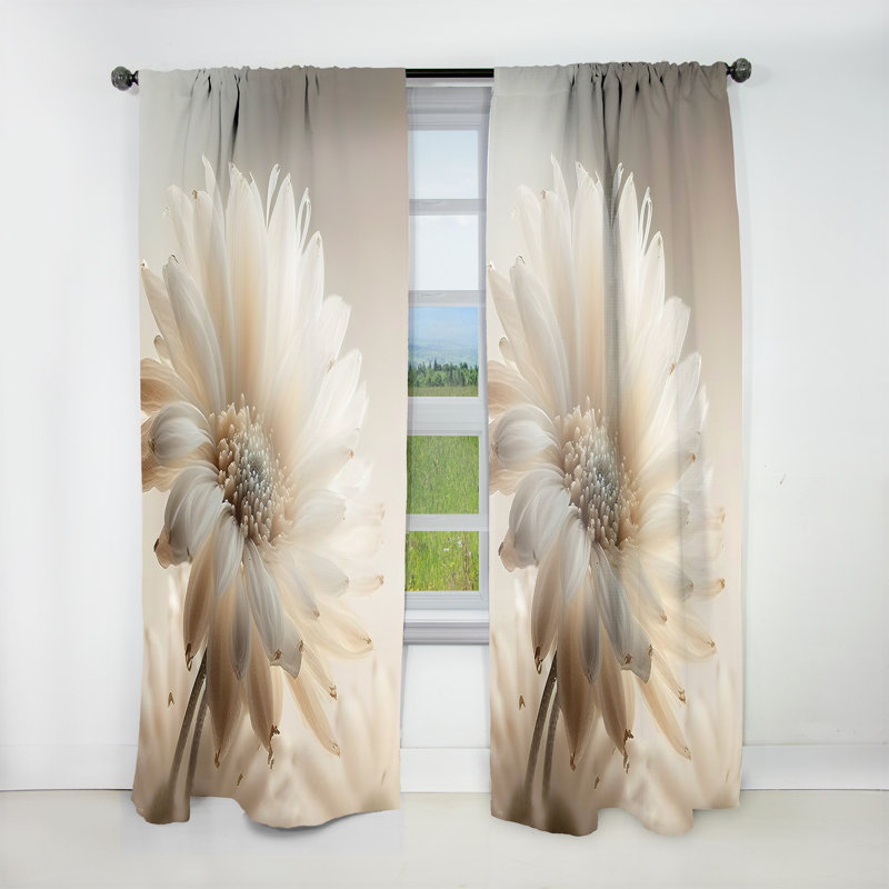 White Gerbera Flowers III - Floral Velvet Curtain - 1 Panel, 52" W x 120" L