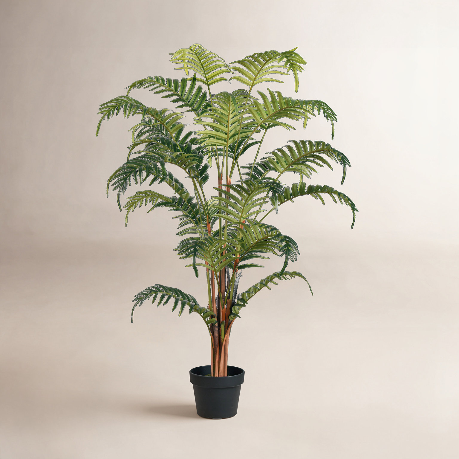 Palm Plant in Pot, 47" H x 16" W x 16" D