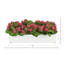 Arrangement Kallas Kalanchoe en pot de fibres-504900990-504900865