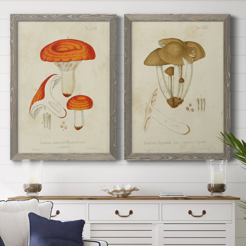 Toile encadrée de qualité supérieure Mushroom Variétés, Toile avec cadre gris, H 43,5 po x l 31,5 po x P 1 po