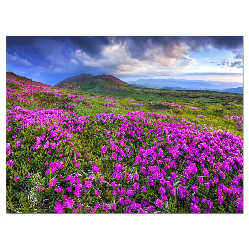 «Rhododendron Flowers in Mountains», impression sur toile tendue, H 8 po x l 12 po x P 1 po