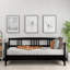 Lit de jour moderne en bois massif, multifonctionnel, taille simple, espresso-913446396-913446398