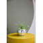 Braeden Disco Pot-966672716