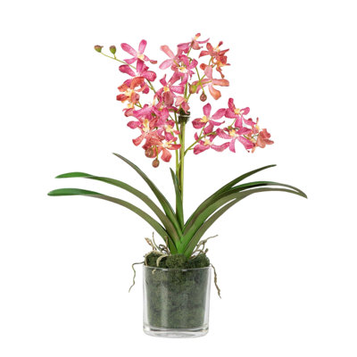 Orchid Arrangement In Glass Vase