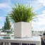 Moneak Planter Box-1391113115-1392064356