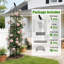 Obélisque treillis pour plantes grimpantes-273061384-276630029
