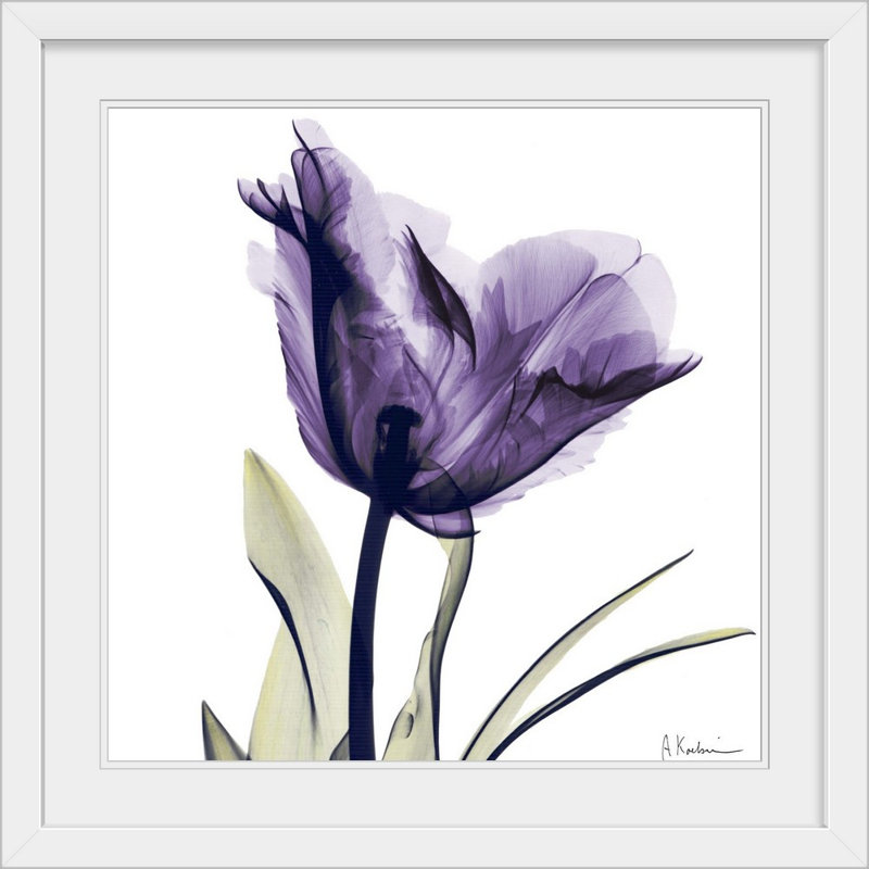 «Manigault», fleur mauve par Kiranjit, reproduction de photo, H 32 po x l 32 po x P 1 po, Cadre blanc