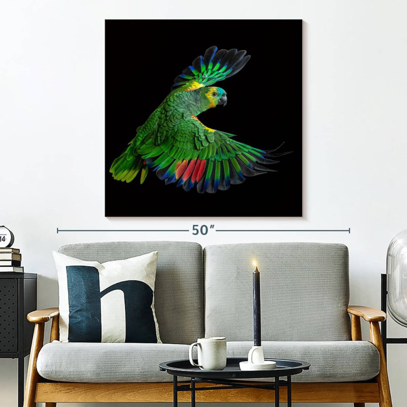 Brampt Flying Parrot