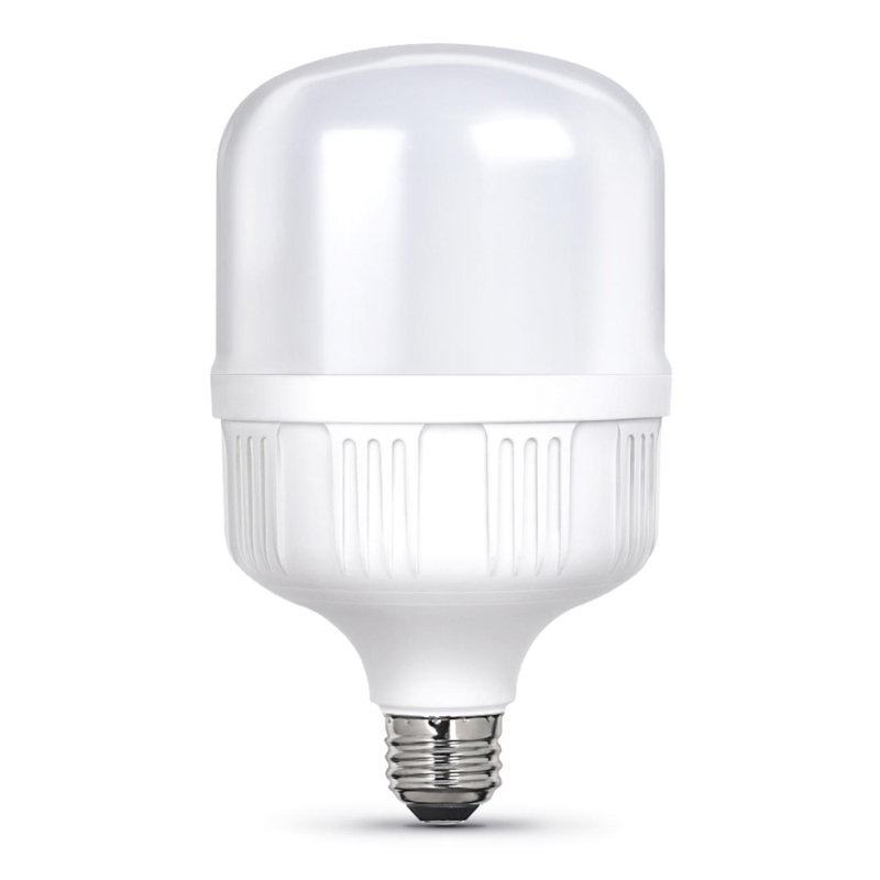 Ampoule à DEL Feit T100 E26 (moyenne), équivalente à 300 watts, paquet de 1