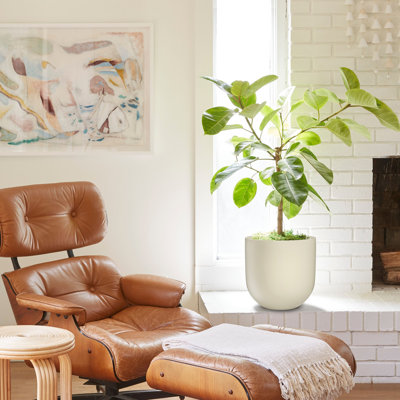 Dorlis Handmade Pot Planter