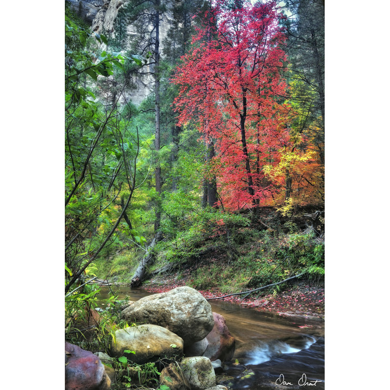 Peaceful Woods II - Wrapped Canvas Painting, 30cm H x 20cm W