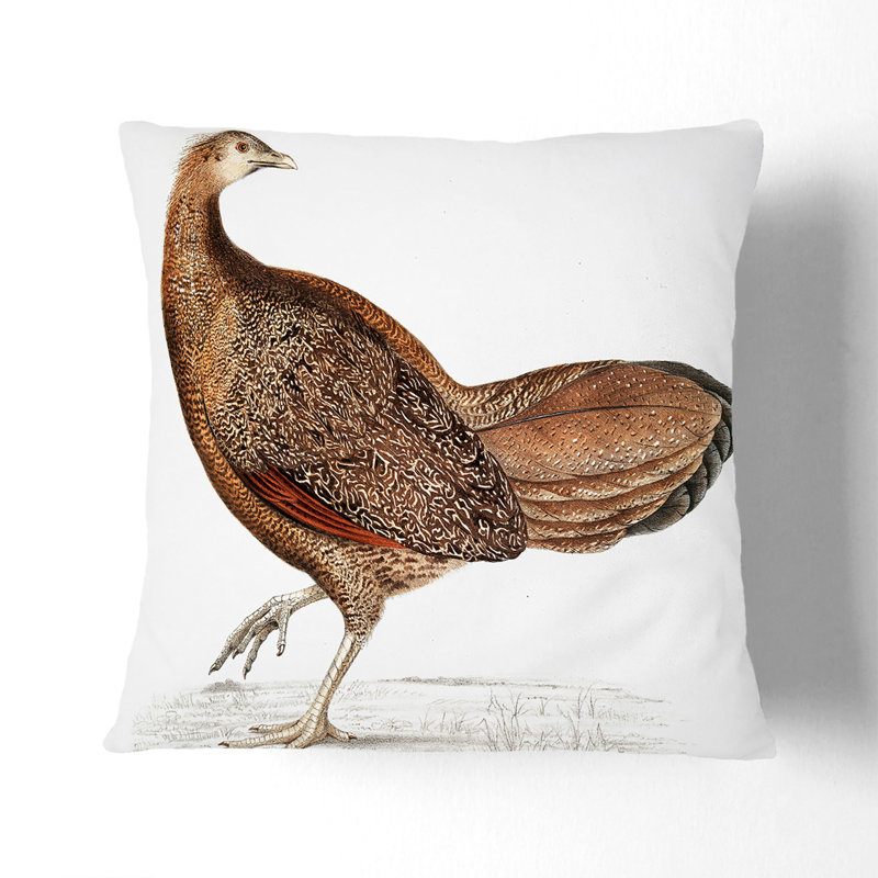 Square Throw Cushion, 55cm H x 55cm W x 20cm D, Black