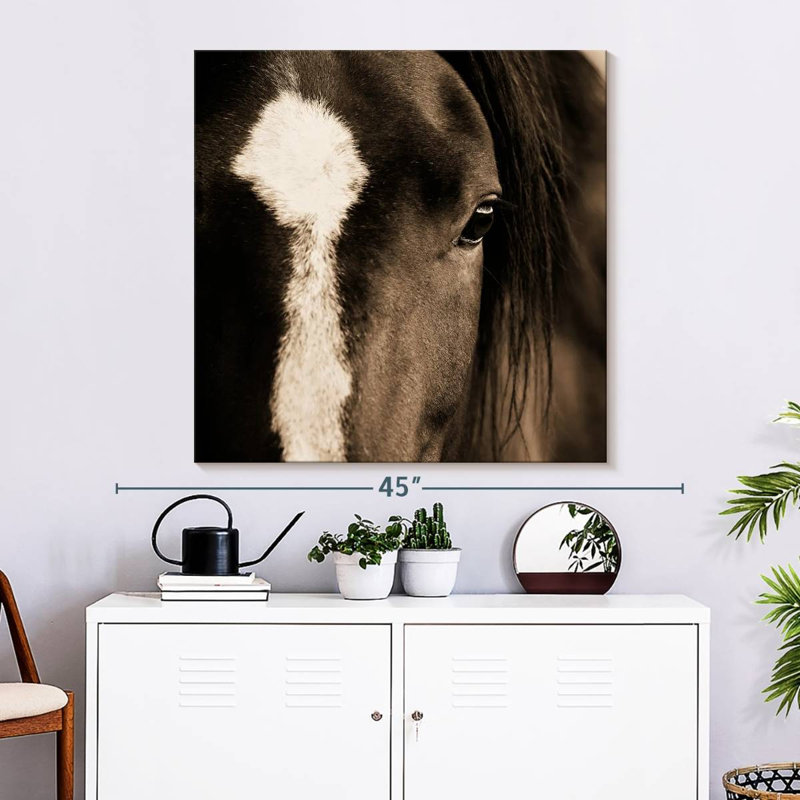 Brampt Dark Eyes, 39'' H x 39'' W