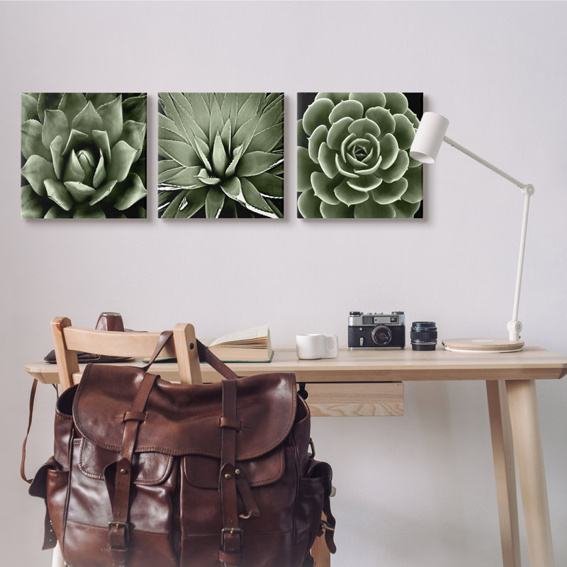 «Contrast Succulent Bloom Trio», ensemble de 3 impressions, Toile tendue, H 17 po x l 17 po x P 1,5 po