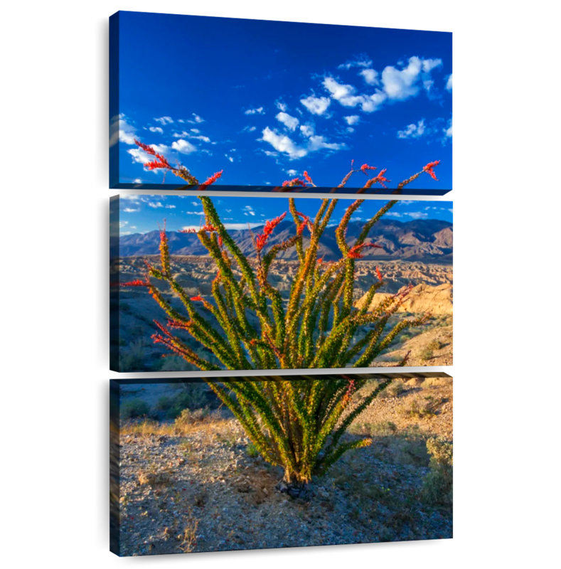 Harnek Ocotillo In Anza Borrego, 32'' H x 20'' W