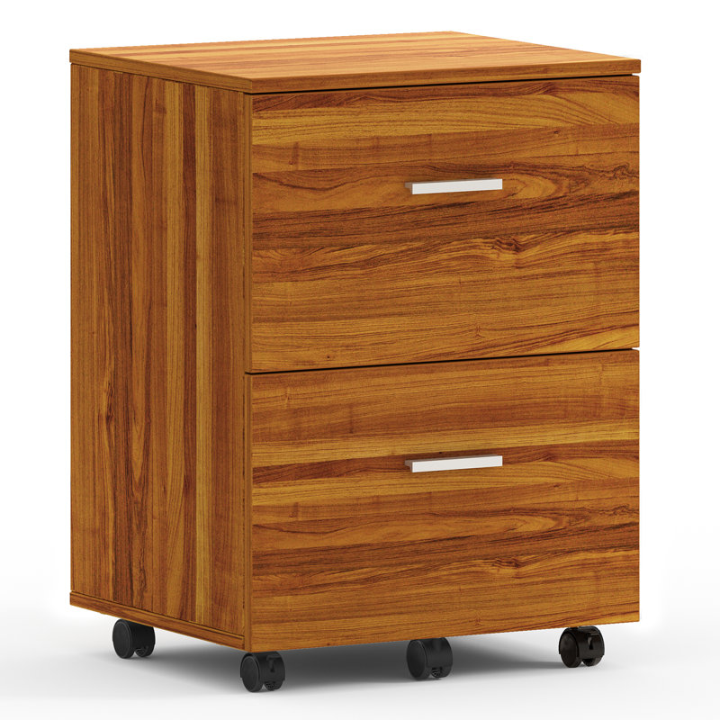 Demetres 2 Drawer Storage Drawer, Teak
