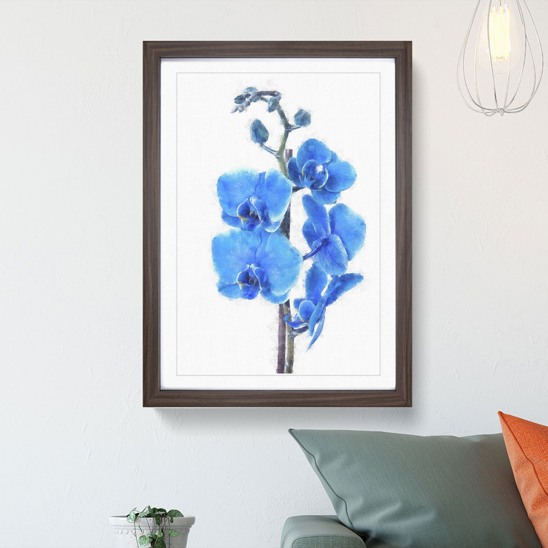 Beautiful Blue Orchids - Picture Frame Graphic Art Print, 45cm H x 33cm W x 2cm D, Walnut Framed