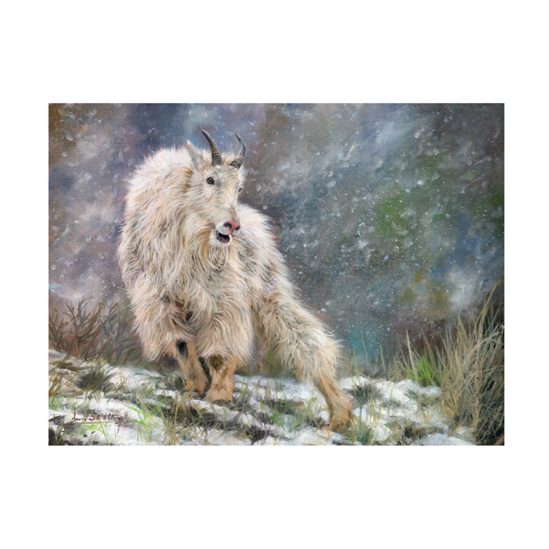 Art sur toile David Stribble, H 14 po x l 19 po