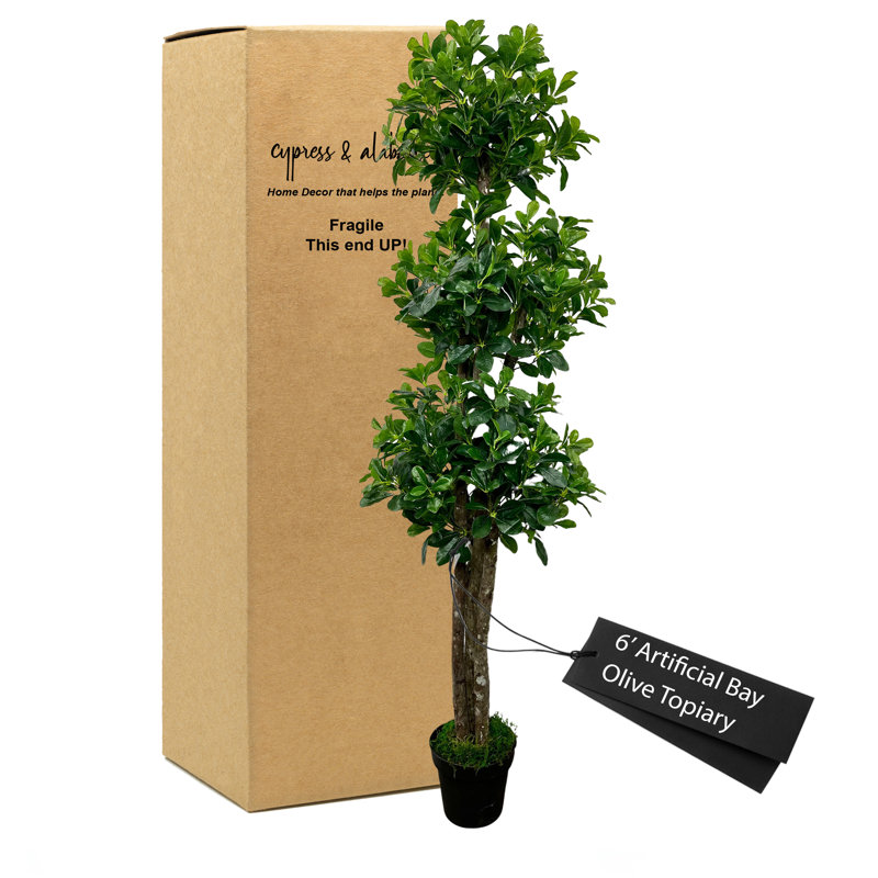 Topiaire vert olive fabriqué à la main avec bois véritable, H 72 po x l 30 po x P 30 po