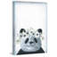 «Cutie Panda», reproduction sur toile tendue-50907832