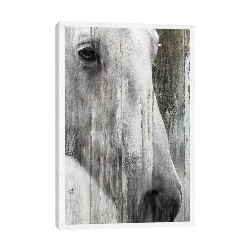 Contemplation by Carol Robinson - Print on Canvas, White Framed, 66.04 cm H x 45.72 cm W