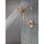 Tetra 17 Series Dual-Function Shower Faucet Trim, In2ition Shower Head with Handheld Spray Trim Kit-85763996
