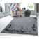 Kailyn Indoor Rug