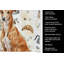 Serviette de cuisine Coffee Bar-1234934783