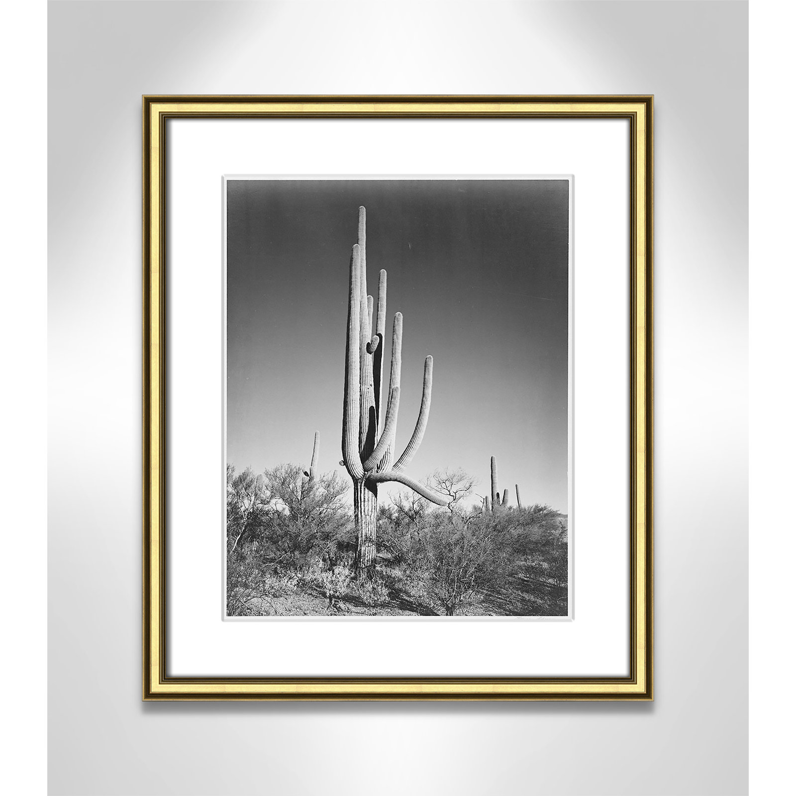 Saguaro National Monument Print by Ansel Adams, 20.25" H x 17.25" W x 0.88" D, Gold