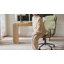 Chaise de bureau pivotante à haut dossier Oswina-208485941