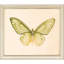 Butterflies S/6 Print by Meagher