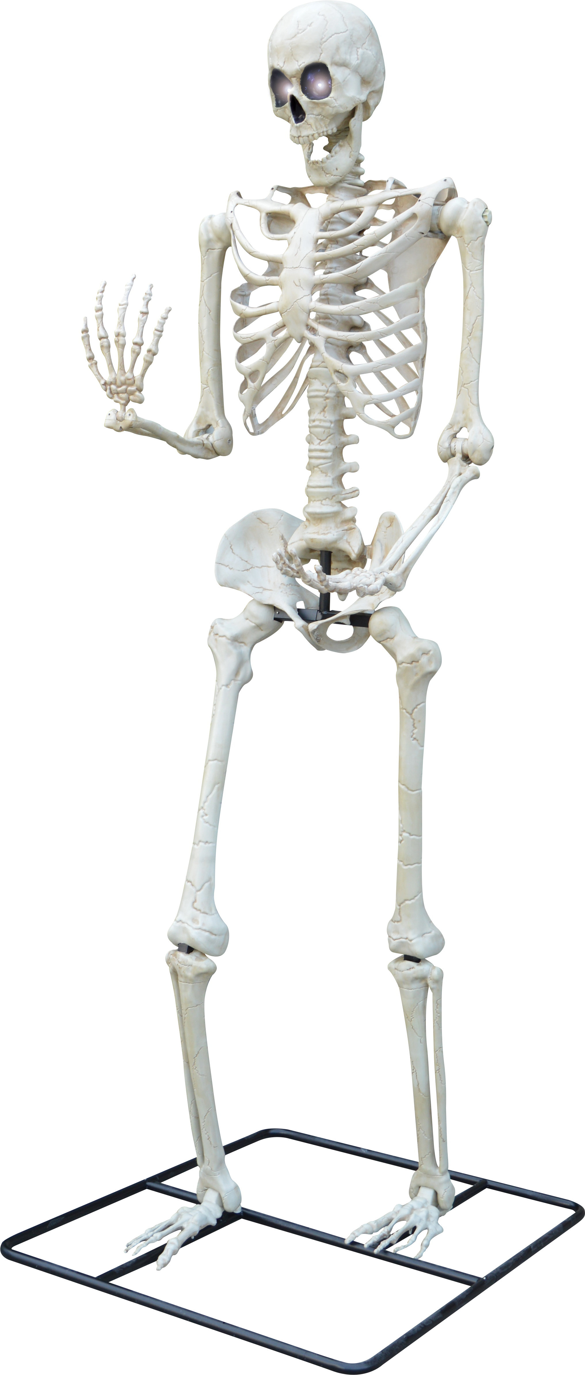 NA 10 Ft. Standing Titan Light Up Skeleton | Wayfair