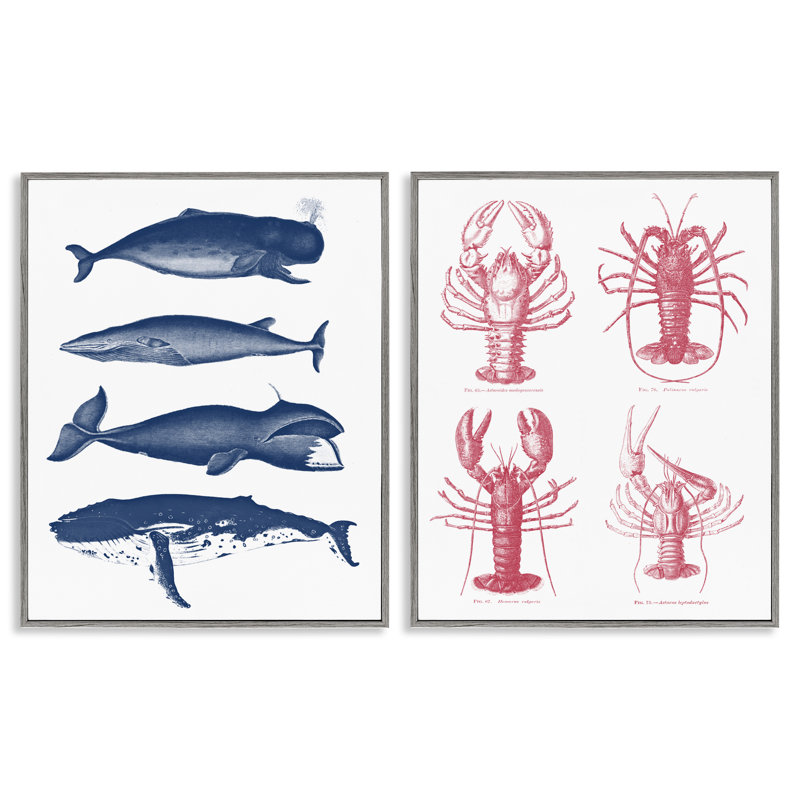 Ensemble de 2 giclées encadrées par Marine Whales & Lobsters, Estampe numérique Farmhouse, H 14 po x l 11 po