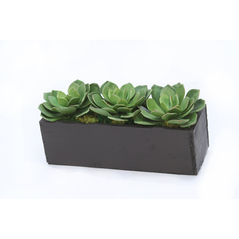 5 " H Faux Succulent