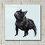  «A Very Pastel Modern Dog 3» par Cartissi, art mural en verre acrylique, 12 po x 12 po