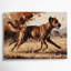 «Dogs Rhodesian Ridgeback», art mural sur toile brune-2137937741
