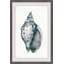 Florida Cone by Julia Posokhova - Single Picture Frame Painting-206551420