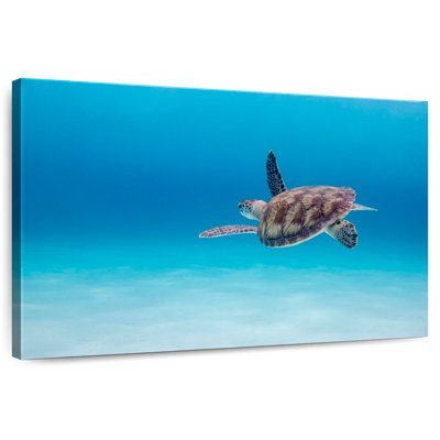 Crowle Adventurous Sea Turtle