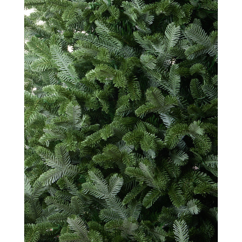 Sapin de Noël Fraser pré-éclairé, 7.5'