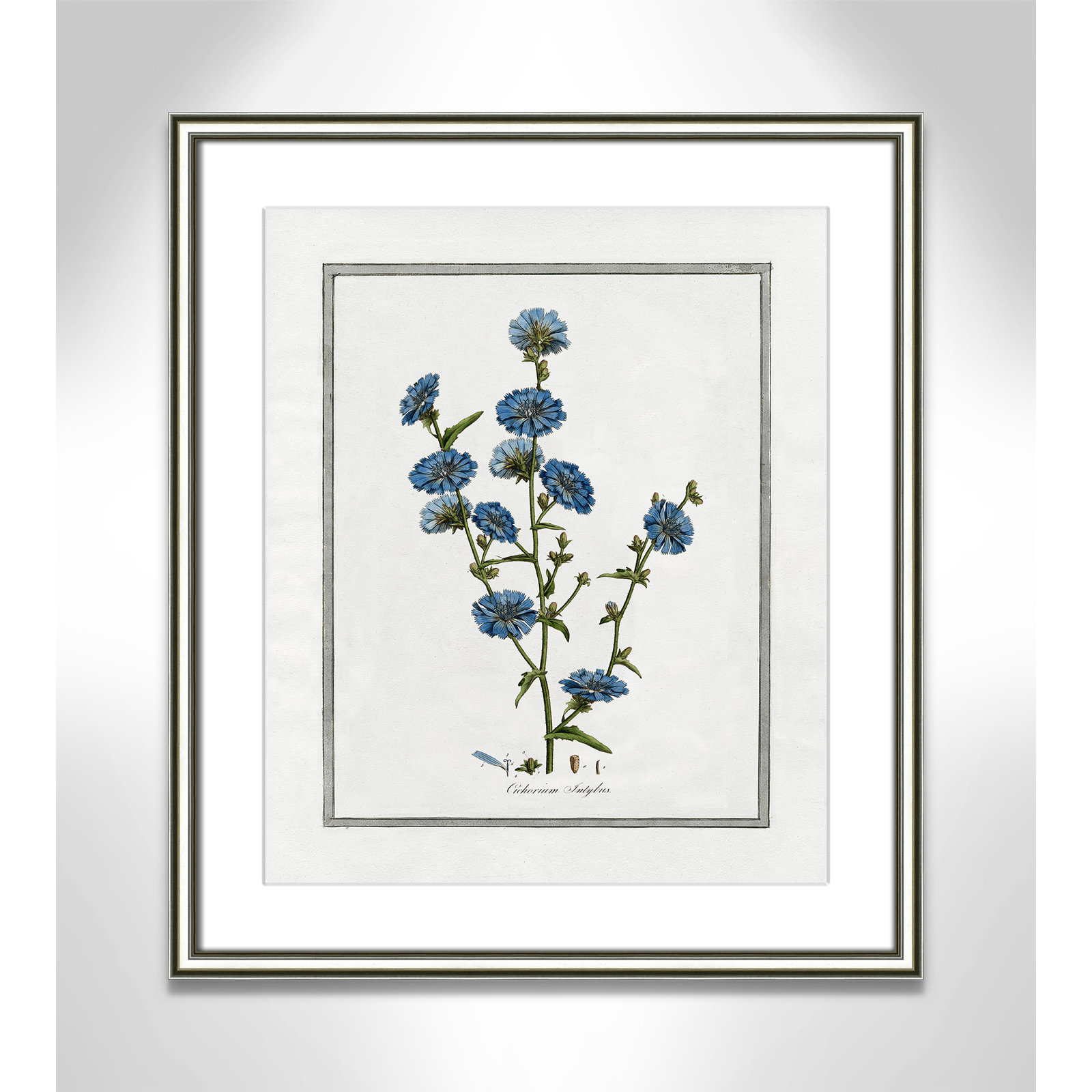 Colombe "Soft Botanical I" Print, 17.25" W x 20.25" H, Silver Framed