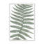 6 pièces Verde Rhapsody par Nadia Miller-94659264-94659265