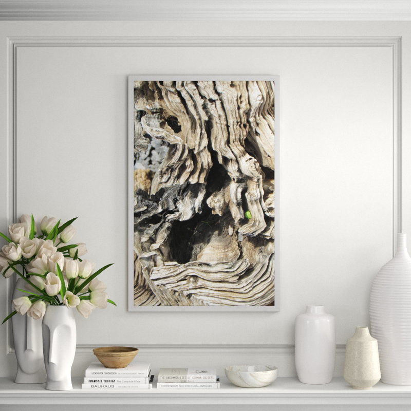 Natural Texture Series 4' Framed Photographic Print on Glass