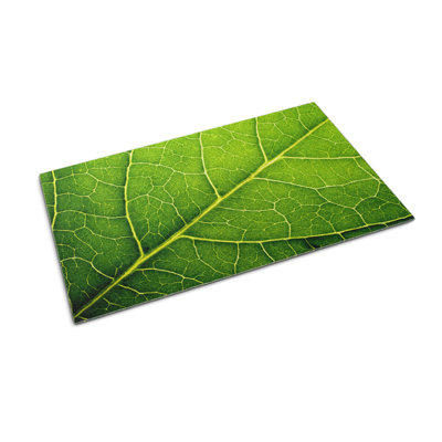 Non-Slip Outdoor Doormat